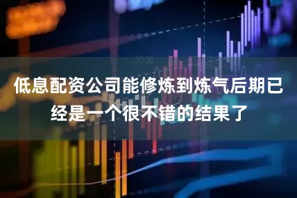 低息配资公司能修炼到炼气后期已经是一个很不错的结果了