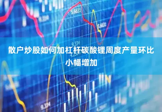 散户炒股如何加杠杆碳酸锂周度产量环比小幅增加